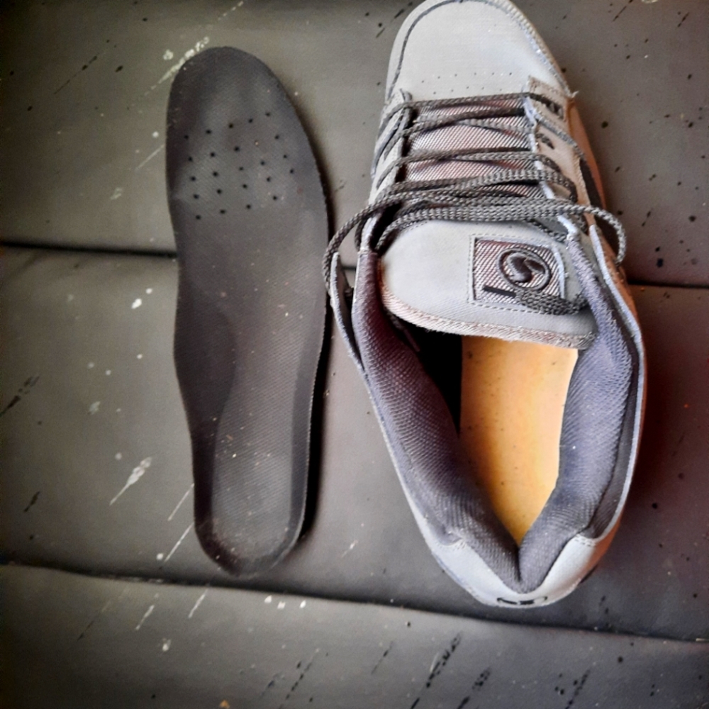 DVS